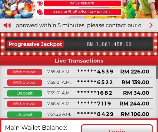 11xplay APP – Best Online Betting Platform for Cricket, Casino, and Teen Patti